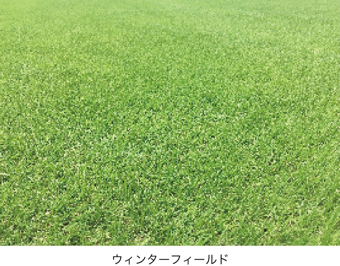 芝生 ユニット仕様 FD-U・T ウィンターフィールド イメージ